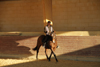 Equitation classique à la française.