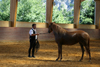 ”Equitation classique à la française.”