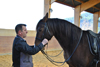 Equitation classique à la française”