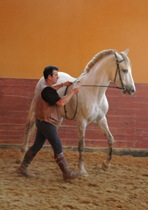 Philosophie equestre : qu'est ce que le dressage